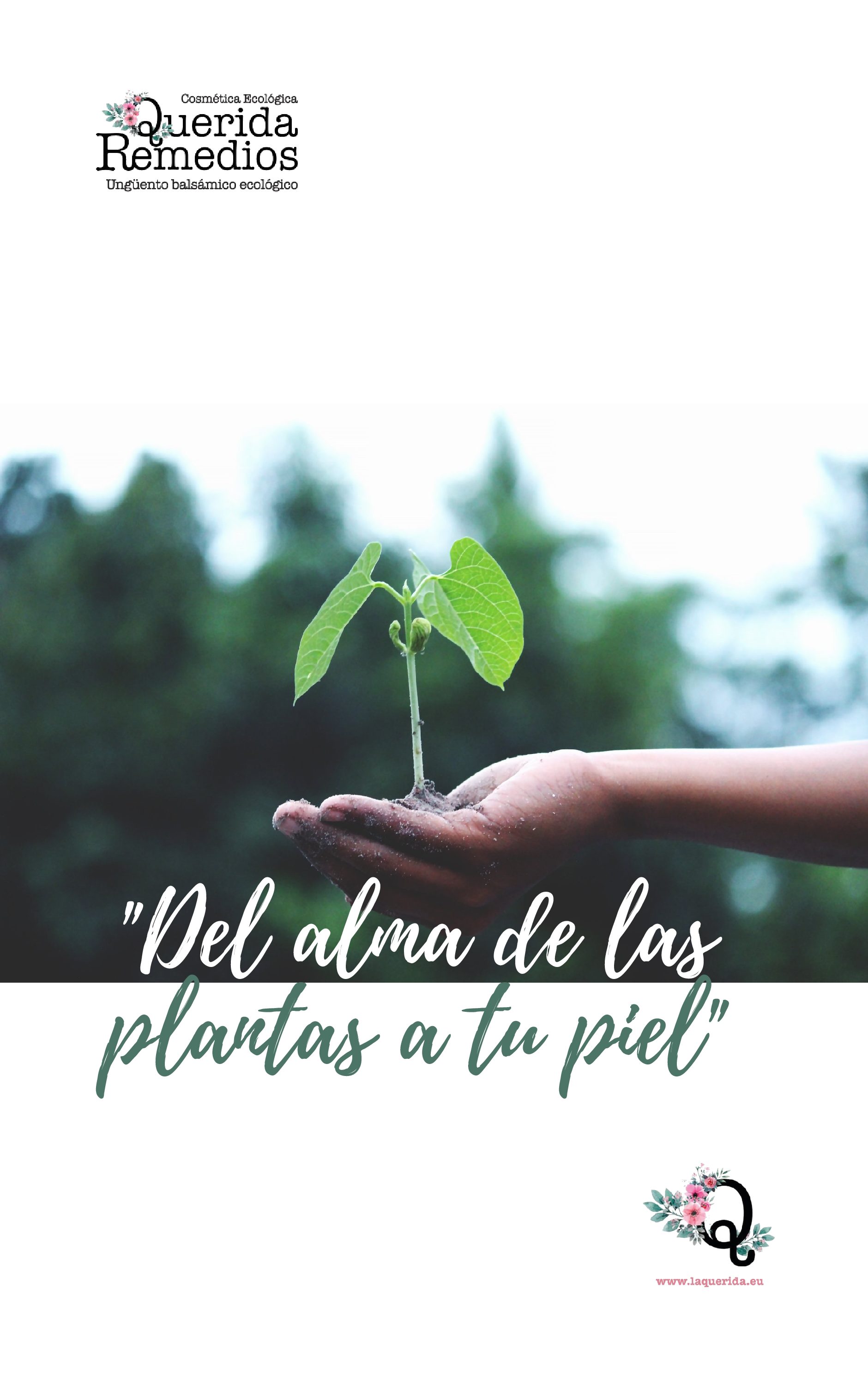 QUERIDA REMEDIOS, UNGÜENTO BALSÁMICO ECOLÓGICO. ESLOGAN:»DEL ALMA DE LAS PLANTAS A TU PIEL»